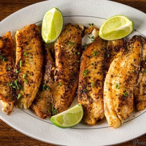 Tilapia Fish